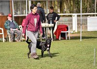 044- SCOFFIELD - 12032017-OBEISSANCE CHANTILLY C1 -RAL 8663 : 2017, CC DE CHANTILLY, CLASSE 2, CONCOURS OBEISSANCE, Dimanche 12 Mars 2017, SCOFFIELD