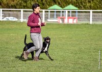 047- SCOFFIELD - 12032017-OBEISSANCE CHANTILLY C1 -RAL 8667 : 2017, CC DE CHANTILLY, CLASSE 2, CONCOURS OBEISSANCE, Dimanche 12 Mars 2017, SCOFFIELD