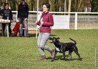 052- SCOFFIELD - 12032017-OBEISSANCE CHANTILLY C1 -RAL 8672 : 2017, CC DE CHANTILLY, CLASSE 2, CONCOURS OBEISSANCE, Dimanche 12 Mars 2017, SCOFFIELD