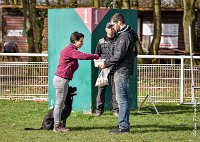 057- SCOFFIELD - 12032017-OBEISSANCE CHANTILLY C1 -RAL 8678 : 2017, CC DE CHANTILLY, CLASSE 2, CONCOURS OBEISSANCE, Dimanche 12 Mars 2017, SCOFFIELD