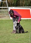 066- SCOFFIELD - 12032017-OBEISSANCE CHANTILLY C1 -RAL 8691 : 2017, CC DE CHANTILLY, CLASSE 2, CONCOURS OBEISSANCE, Dimanche 12 Mars 2017, SCOFFIELD