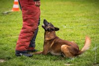 0021 RING ECOUEN - GOSS-BO -4215 : 2016, ECOUEN, GOSS-BO, RING, RING 2