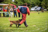 0027 RING ECOUEN - GOSS-BO -4232 : 2016, ECOUEN, GOSS-BO, RING, RING 2