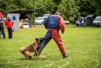 0028 RING ECOUEN - GOSS-BO -4233 : 2016, ECOUEN, GOSS-BO, RING, RING 2