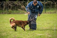 0034 RING ECOUEN - GOSS-BO -4242 : 2016, ECOUEN, GOSS-BO, RING, RING 2