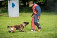 0008 RING ECOUEN - IANCKEE -3594 : 2016, ECOUEN, FOUILLAUD Sandrine, IANCKEE, RING, RING 1