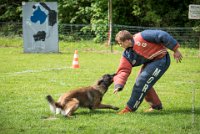 0020 RING ECOUEN - IANCKEE -3612 : 2016, ECOUEN, FOUILLAUD Sandrine, IANCKEE, RING, RING 1