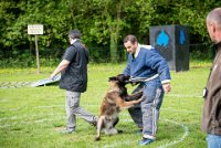 0029 RING ECOUEN - IANCKEE -3625 : 2016, ECOUEN, FOUILLAUD Sandrine, IANCKEE, RING, RING 1