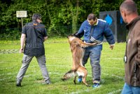 0030 RING ECOUEN - IANCKEE -3626 : 2016, ECOUEN, FOUILLAUD Sandrine, IANCKEE, RING, RING 1