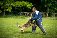 0036 RING ECOUEN - IANCKEE -3635 : 2016, ECOUEN, FOUILLAUD Sandrine, IANCKEE, RING, RING 1