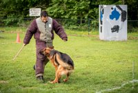 0033Ring Ecouen - JACKSO -3333 : 2016, Brevet, CSAU, ECOUEN, JACKSO