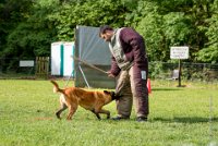 0016Ring Ecouen - JERRY -3583 : 2016, Brevet, CSAU, ECOUEN, JERRY