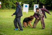 0027 Ring Ecouen - JORAN -3130 : 2016, Brevet, CSAU, ECOUEN, JORAN