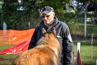 009 AGILITY ARGENTEUIL - DUC -5935 : 2016, 23 Octobre 2016, AGILITY ARGENTEUIL, CHIEN DE BERGER BELGE, Catégorie C, D052, DUC, Dossard 52, GPF