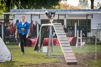 001 AGILITY ARGENTEUIL - CAT C- E TAGADA -5611 : 2016, 23 Octobre 2016, AGILITY ARGENTEUIL, BORDER COLLIE, Catégorie C, D117, DUCARRE Bertille, Dossard 117, E'TAGADA, GPF