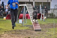 002 AGILITY ARGENTEUIL - CAT C- E TAGADA -5612 : 2016, 23 Octobre 2016, AGILITY ARGENTEUIL, BORDER COLLIE, Catégorie C, D117, DUCARRE Bertille, Dossard 117, E'TAGADA, GPF