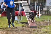 003 AGILITY ARGENTEUIL - CAT C- E TAGADA -5613 : 2016, 23 Octobre 2016, AGILITY ARGENTEUIL, BORDER COLLIE, Catégorie C, D117, DUCARRE Bertille, Dossard 117, E'TAGADA, GPF