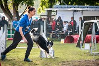 005 AGILITY ARGENTEUIL - CAT C- E TAGADA -5615 : 2016, 23 Octobre 2016, AGILITY ARGENTEUIL, BORDER COLLIE, Catégorie C, D117, DUCARRE Bertille, Dossard 117, E'TAGADA, GPF