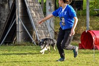 010 AGILITY ARGENTEUIL - CAT C- E TAGADA -5620 : 2016, 23 Octobre 2016, AGILITY ARGENTEUIL, BORDER COLLIE, Catégorie C, D117, DUCARRE Bertille, Dossard 117, E'TAGADA, GPF