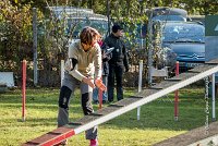 003 AGILITY ARGENTEUIL - ETNA -6411 : 2016, 23 Octobre 2016, AGILITY ARGENTEUIL, BERGER AUSTRALIEN, D017, Dossard  17, ETNA