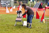 002 AGILITY ARGENTEUIL - HAPPIE -4730 : 2016, 23 Octobre 2016, AGILITY ARGENTEUIL, Catégorie A, D035, Dossard 35, GPF, HAPPIE