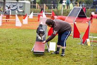 003 AGILITY ARGENTEUIL - HAPPIE -4731 : 2016, 23 Octobre 2016, AGILITY ARGENTEUIL, Catégorie A, D035, Dossard 35, GPF, HAPPIE