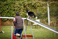 012 AGILITY ARGENTEUIL - HAPPIE -6609 : 2016, 23 Octobre 2016, 2ème degré, AGILITY ARGENTEUIL, Catégorie A, HAPPIE