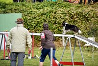 013 AGILITY ARGENTEUIL - HAPPIE -6610 : 2016, 23 Octobre 2016, 2ème degré, AGILITY ARGENTEUIL, Catégorie A, HAPPIE