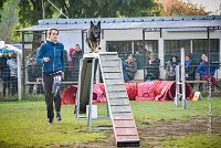 001 AGILITY ARGENTEUIL - HARLEM -5526 : 2016, 23 Octobre 2016, AGILITY ARGENTEUIL, BERGER ALLEMAND, Catégorie C, D110, Dossard 110, GPF, HARLEM, MOLIN Céline