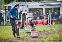 003 AGILITY ARGENTEUIL - HARLEM -5528 : 2016, 23 Octobre 2016, AGILITY ARGENTEUIL, BERGER ALLEMAND, Catégorie C, D110, Dossard 110, GPF, HARLEM, MOLIN Céline