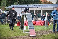 001 AGILITY ARGENTEUIL - HOUPS -5411 : 2016, 23 Octobre 2016, AGILITY ARGENTEUIL, AUGIER Jean-Claude, Catégorie C, D116, Dossard 116, GPF, HOUPS