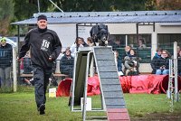 002 AGILITY ARGENTEUIL - HOUPS -5412 : 2016, 23 Octobre 2016, AGILITY ARGENTEUIL, AUGIER Jean-Claude, Catégorie C, D116, Dossard 116, GPF, HOUPS