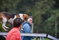 009 AGILITY ARGENTEUIL - ITHAQUE -5193 : 2016, 23 Octobre 2016, AGILITY ARGENTEUIL, Catégorie B, D088, Dossard 88, GPF, ITHAQUE