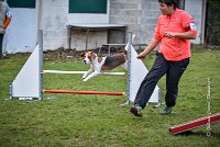 011 AGILITY ARGENTEUIL - ITHAQUE -5195 : 2016, 23 Octobre 2016, AGILITY ARGENTEUIL, Catégorie B, D088, Dossard 88, GPF, ITHAQUE