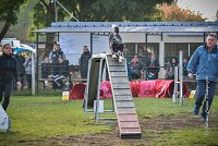 001 AGILITY ARGENTEUIL - IZARRA -5554 : 2016, 23 Octobre 2016, AGILITY ARGENTEUIL, BORDER COLLIE, Catégorie C, D030, DELABORDE Marine, Dossard 30, GPF, IZARRA