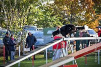 002 AGILITY ARGENTEUIL - JAMES BOND -6233 : 2016, 23 Octobre 2016, AGILITY ARGENTEUIL, BORDER COLLIE, Catégorie C, D064, Dossard 64, GPF, JAMES BOND