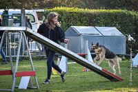 001 AGILITY ARGENTEUIL - JOUNA -6218 : 2016, 23 Octobre 2016, AGILITY ARGENTEUIL, CHIEN CROISE, Catégorie C, D027, Dossard 27, GPF, JOUNA