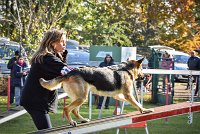 012 AGILITY ARGENTEUIL - JOUNA -6229 : 2016, 23 Octobre 2016, AGILITY ARGENTEUIL, CHIEN CROISE, Catégorie C, D027, Dossard 27, GPF, JOUNA