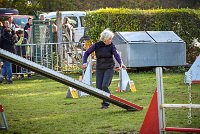 001 AGILITY ARGENTEUIL - JUNE -5957 : 2016, 23 Octobre 2016, AGILITY ARGENTEUIL, Catégorie C, D141, Dossard 141, GPF, JUNE