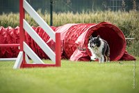 0004AGILITY CLAYE SOUILLY - BAIKA AGI 0707- : 2016, 26 JUIN 2016, BAIKA, Berger des shetlands, Claye Souilly, Robe Tricolore, open+