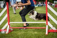 0024AGILITY CLAYE SOUILLY - CAT A - BAIKA AGI 1795- : 2016, 26 JUIN 2016, BAIKA, Berger des shetlands, Claye Souilly, Robe Tricolore