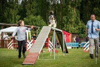 0002AGILITY CLAYE SOUILLY - CHELLY AGI 9663- : 2016, 26 JUIN 2016, Berger Australien, Chelly, Claye Souilly, Open, robe noir