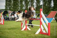 0003AGILITY CLAYE SOUILLY - CHELLY AGI 9665- : 2016, 26 JUIN 2016, Berger Australien, Chelly, Claye Souilly, Open, robe noir