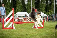 0010AGILITY CLAYE SOUILLY - CHELLY AGI 9673- : 2016, 26 JUIN 2016, Berger Australien, Chelly, Claye Souilly, Open, robe noir