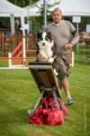 0004AGILITY CLAYE SOUILLY - CAT C - CHELSEA AGI 9262- : 2016, 26 JUIN 2016, Berger Australien, CHELSEA, Claye Souilly, Open, robe noir