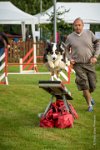 0005AGILITY CLAYE SOUILLY - CAT C - CHELSEA AGI 9263- : 2016, 26 JUIN 2016, Berger Australien, CHELSEA, Claye Souilly, Open, robe noir