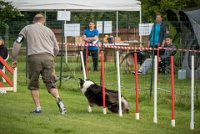 0007AGILITY CLAYE SOUILLY - CAT C - CHELSEA AGI 9276- : 2016, 26 JUIN 2016, Berger Australien, CHELSEA, Claye Souilly, Open, robe noir