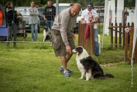 0009AGILITY CLAYE SOUILLY - CAT C - CHELSEA AGI 0851- : 2016, 26 JUIN 2016, Berger Australien, CHELSEA, Claye Souilly, robe noir