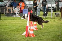 0013AGILITY CLAYE SOUILLY - CAT C - CHELSEA AGI 0855- : 2016, 26 JUIN 2016, Berger Australien, CHELSEA, Claye Souilly, robe noir