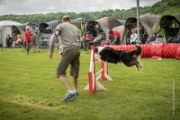 0014AGILITY CLAYE SOUILLY - CAT C - CHELSEA AGI 0856- : 2016, 26 JUIN 2016, Berger Australien, CHELSEA, Claye Souilly, robe noir